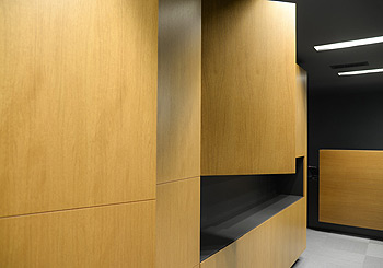 ΕΙΔΙΚΕΣ ΞΥΛΙΝΕΣ ΚΑΤΑΣΚΕΥΕΣ 083